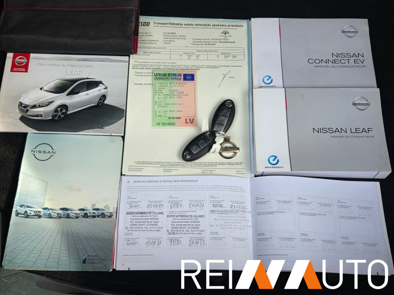 Nissan Leaf Blue